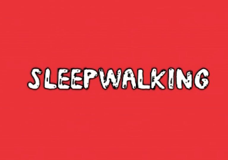 Sleepwalking (2009)